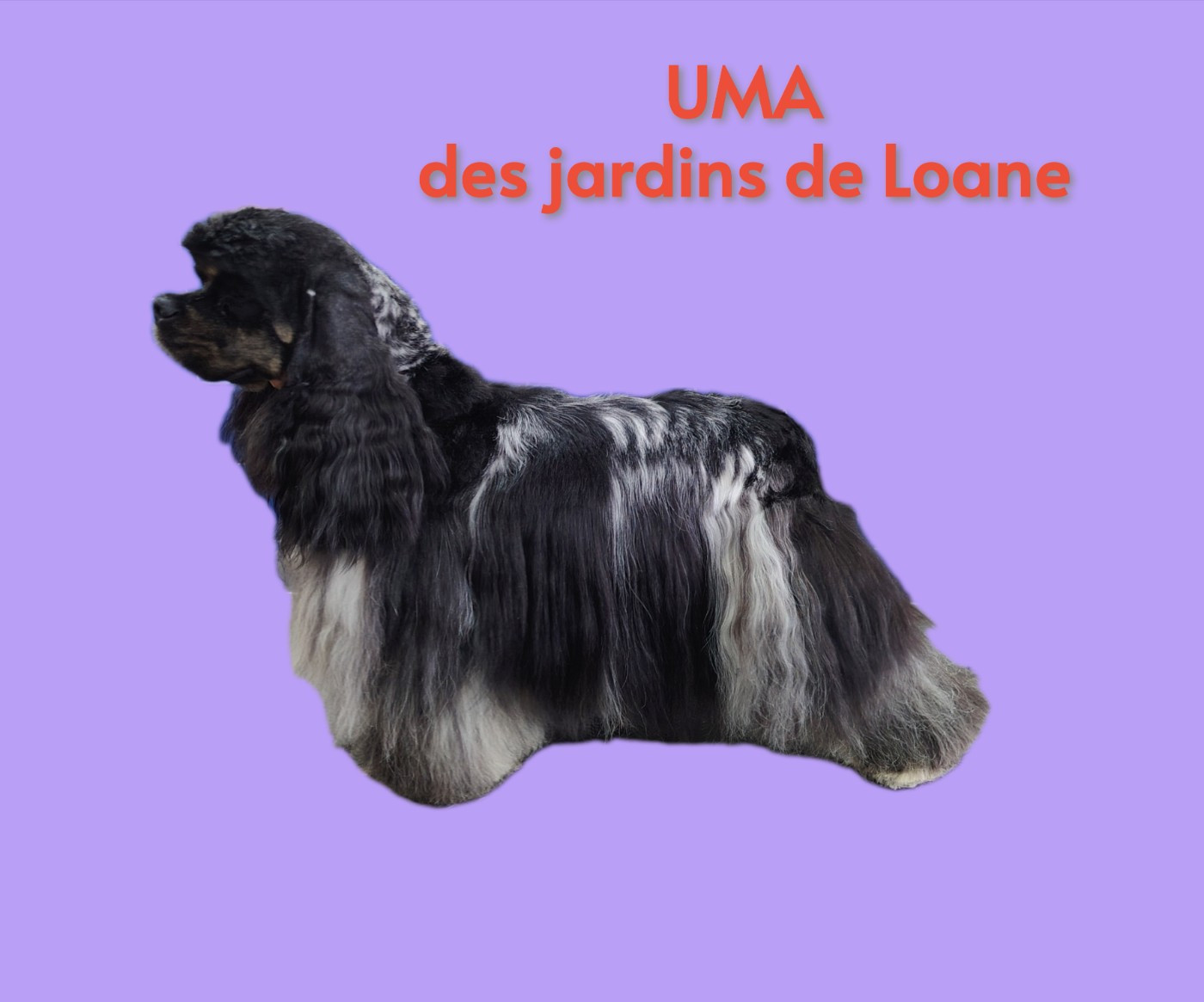 CH. Uma des jardins de Loane